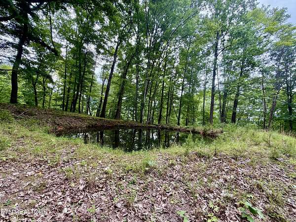 37 Acres of Land for Sale in Tazewell, Tennessee