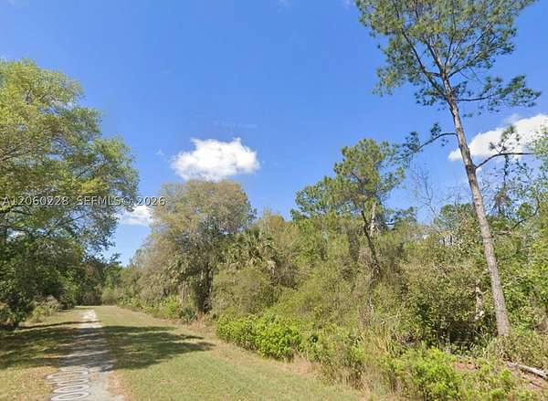 0.23 Acres of Residential Land for Sale in Crescent City, Florida