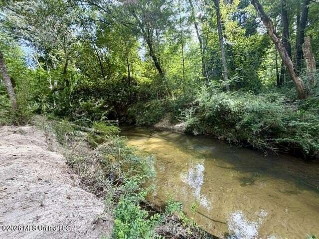 100 Acres of Recreational & Residential Land for Sale in Osyka, Mississippi
