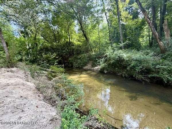100 Acres of Recreational & Residential Land for Sale in Osyka, Mississippi