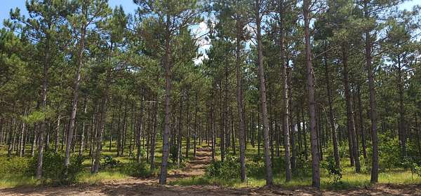 2 Acres of Residential Land for Sale in Rome, Wisconsin