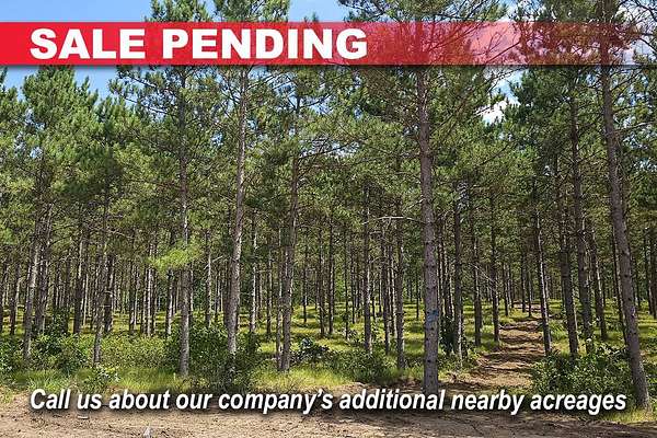 2 Acres of Residential Land for Sale in Rome, Wisconsin