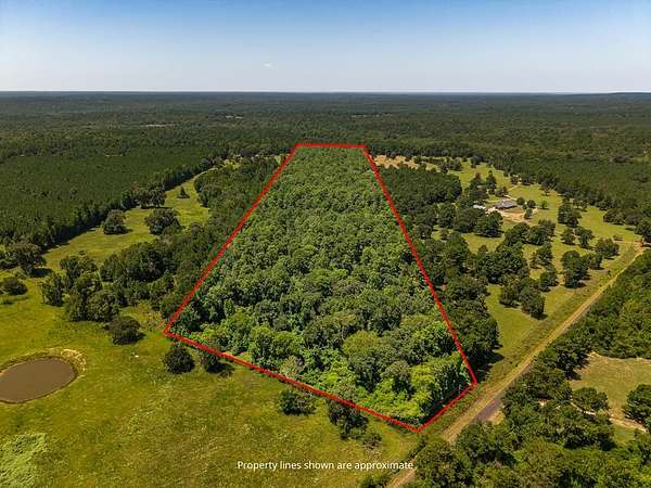 33 Acres of Recreational & Residential Land for Sale in Elkhart, Texas