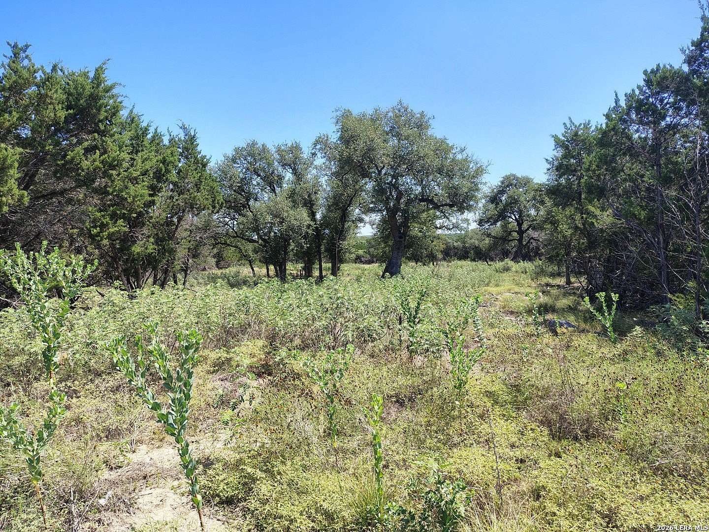 2.62 Acres of Residential Land for Sale in Boerne, Texas