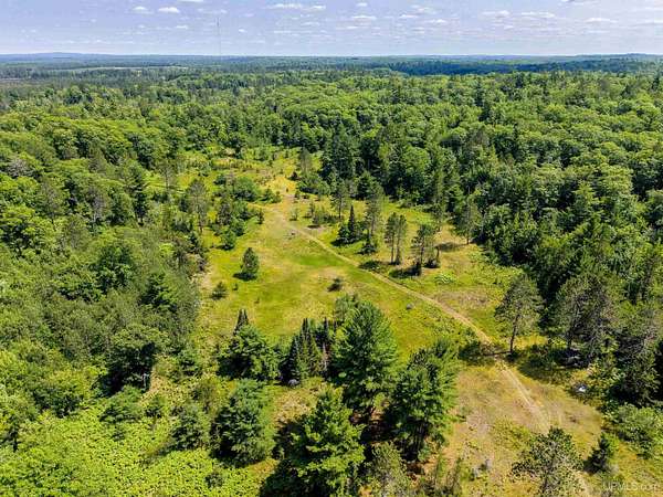 63.3 Acres of Recreational Land for Sale in Republic, Michigan