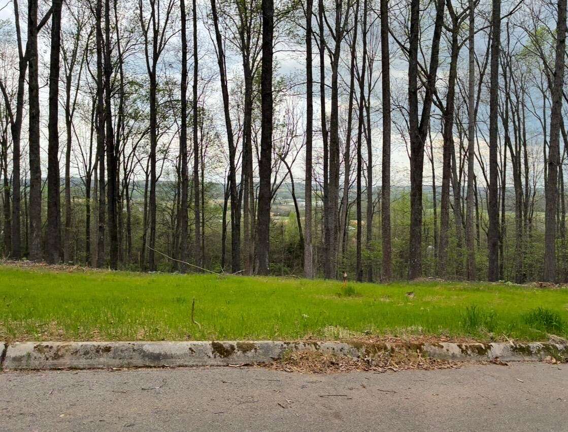 1.38 Acres of Residential Land for Sale in Sweetwater, Tennessee