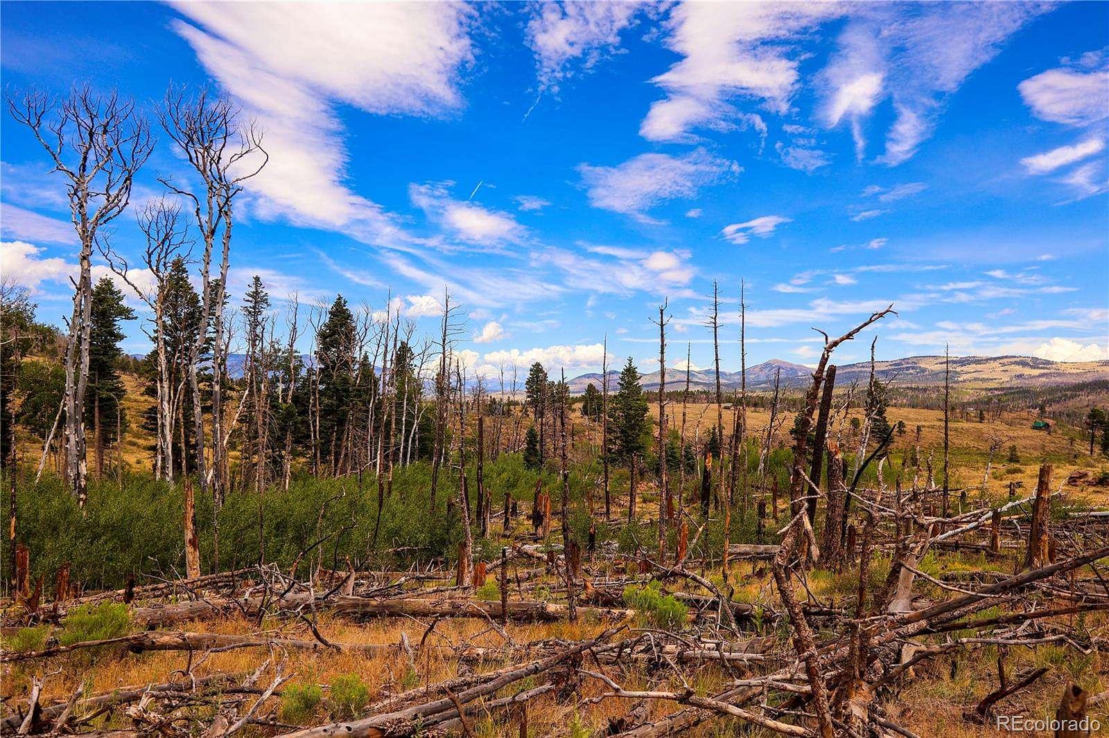 1 Acre of Land for Sale in Fort Garland, Colorado