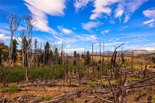 1 Acre of Land for Sale in Fort Garland, Colorado