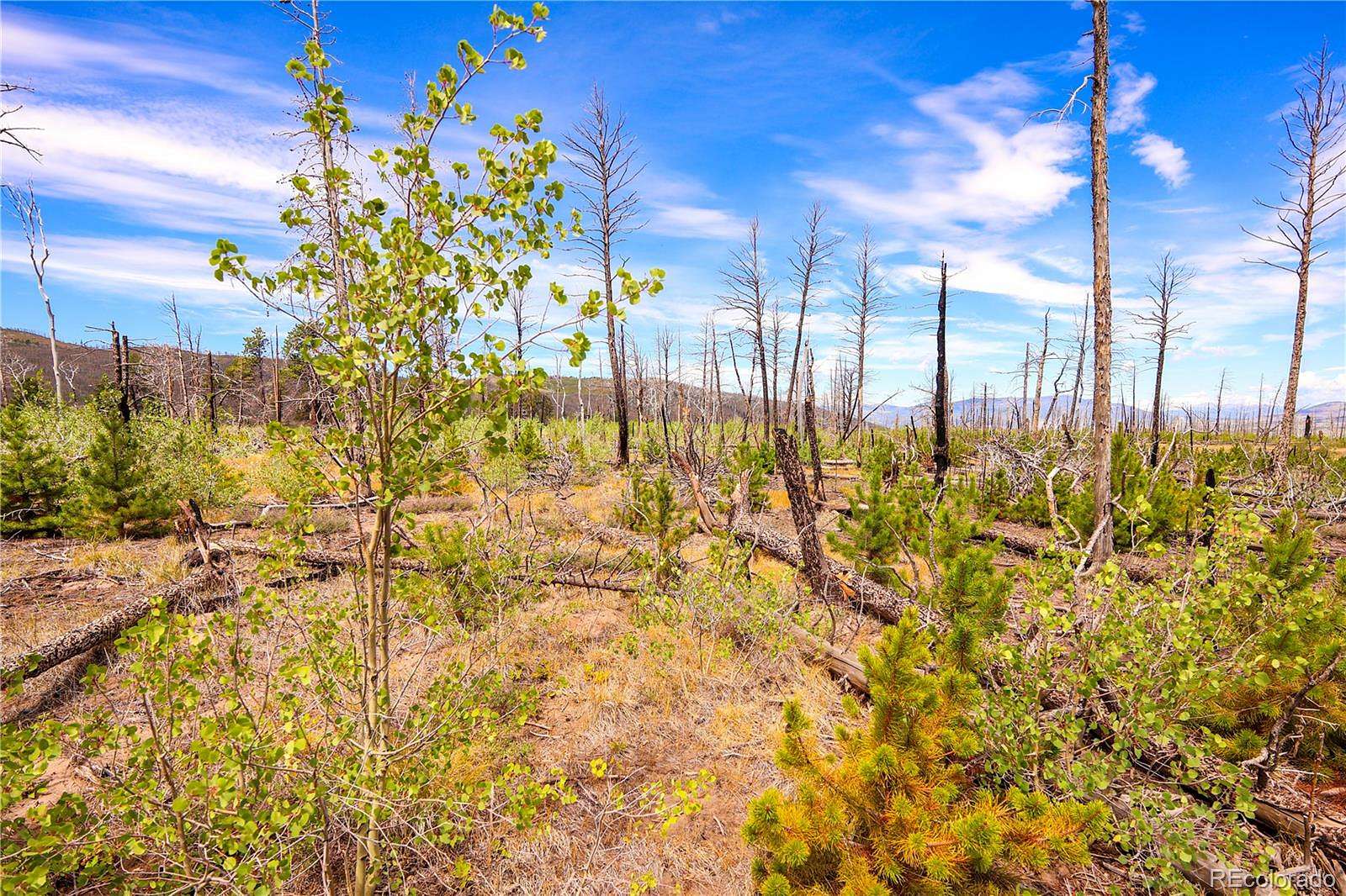1.44 Acres of Land for Sale in Fort Garland, Colorado