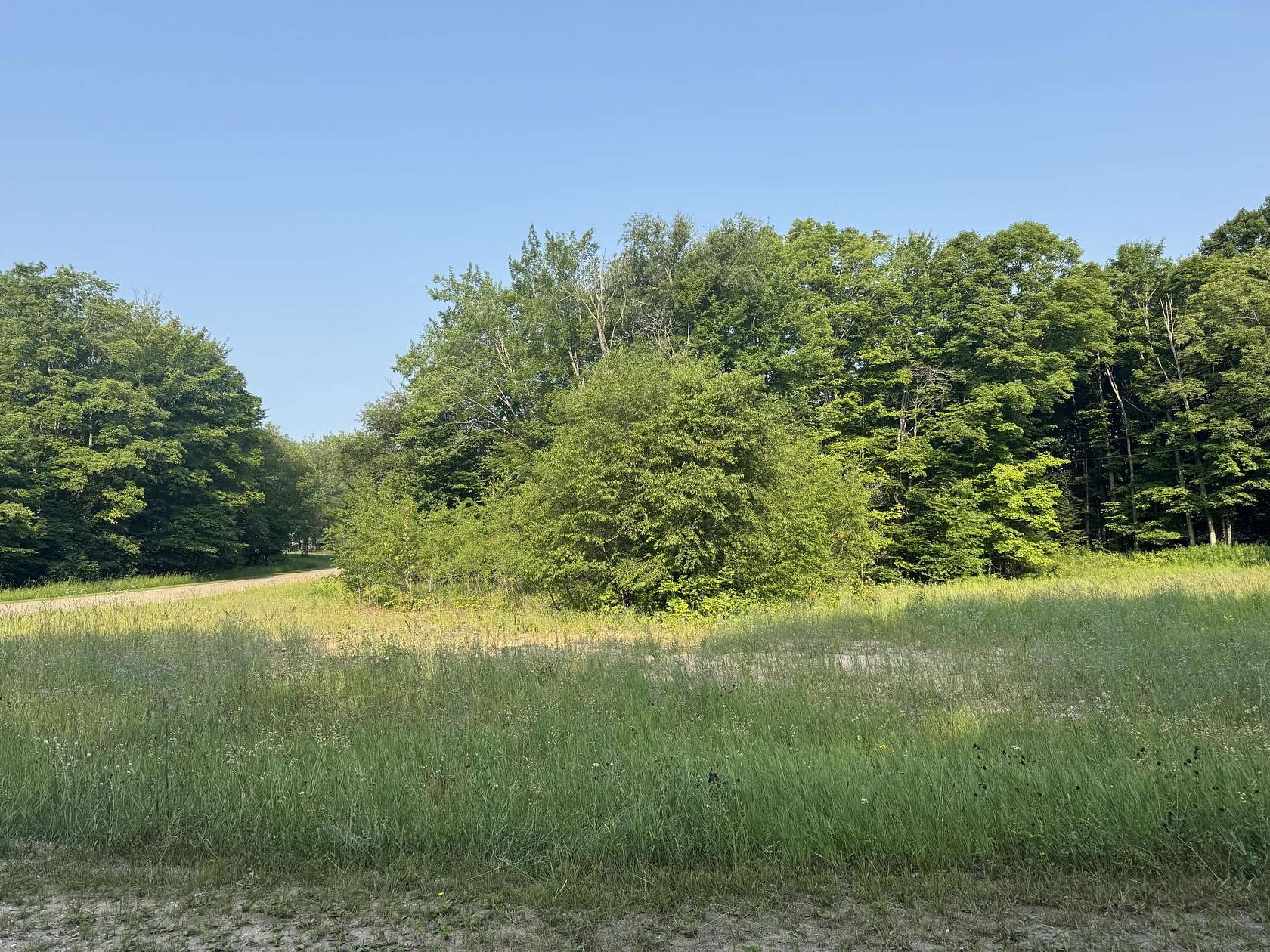 Land for Sale in McMillan, Michigan