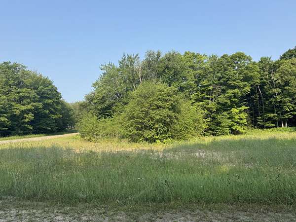 Land for Sale in McMillan, Michigan