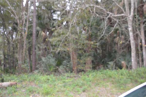 0.24 Acres of Residential Land for Sale in Sanford, Florida
