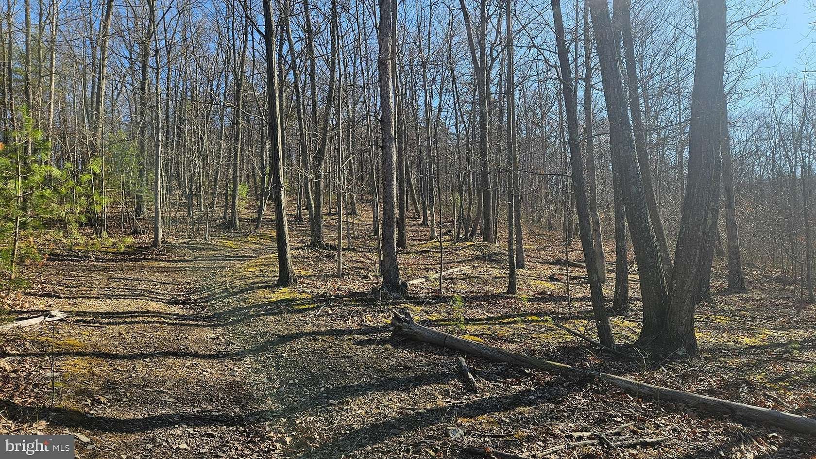 77.4 Acres of Recreational & Residential Land for Sale in Clearville, Pennsylvania