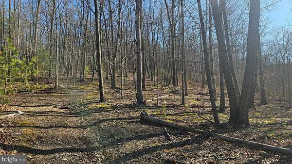 77.4 Acres of Recreational & Residential Land for Sale in Clearville, Pennsylvania