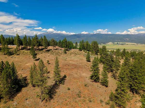 5 Acres of Land for Sale in New Meadows, Idaho