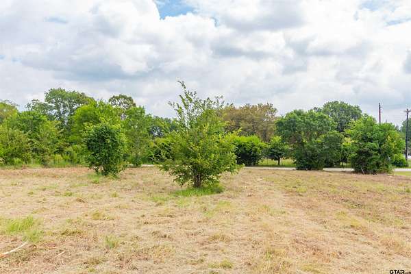 2 Acres of Residential Land for Sale in Edgewood, Texas