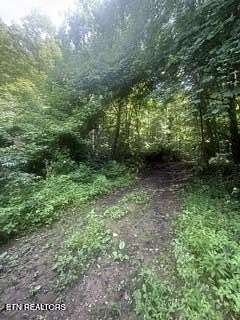 10 Acres of Recreational & Residential Land for Sale in Maynardville, Tennessee