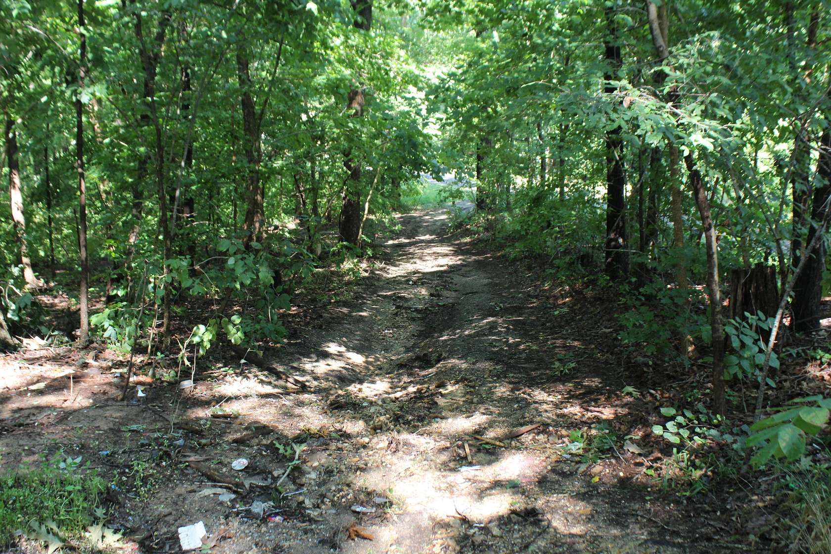 12.7 Acres of Recreational & Residential Land for Sale in Eddyville, Kentucky