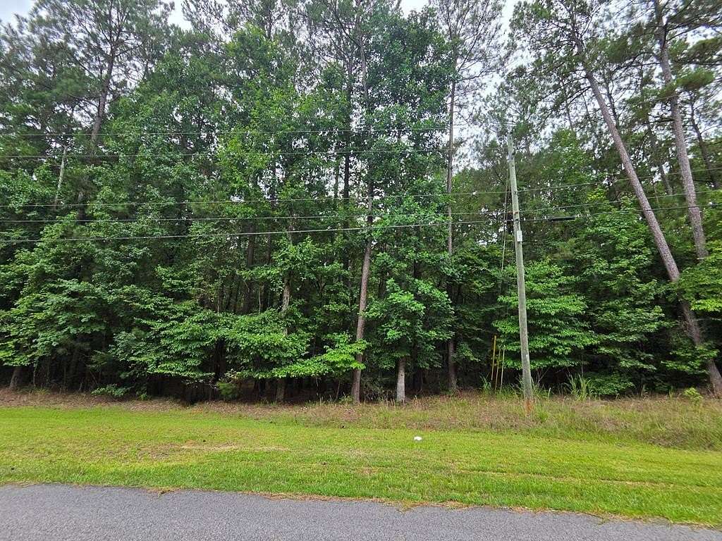 2.16 Acres of Residential Land for Sale in Sparta, Georgia