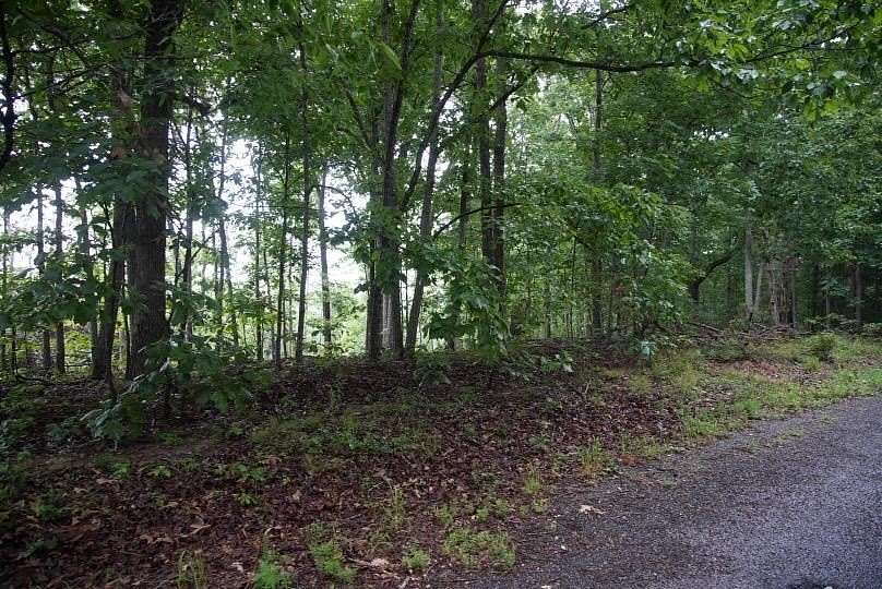 75 Acres of Land for Sale in New Concord, Kentucky