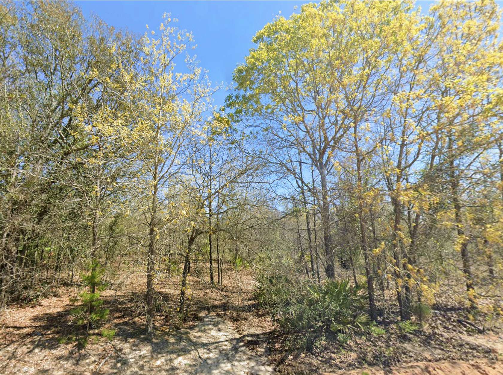 1.55 Acres of Residential Land for Sale in Douglas, Georgia