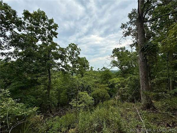 1 Acre of Residential Land for Sale in Edwards, Missouri