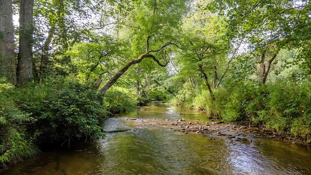 11 Acres of Land with Home for Sale in Otto, North Carolina