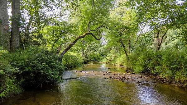 11 Acres of Land with Home for Sale in Otto, North Carolina