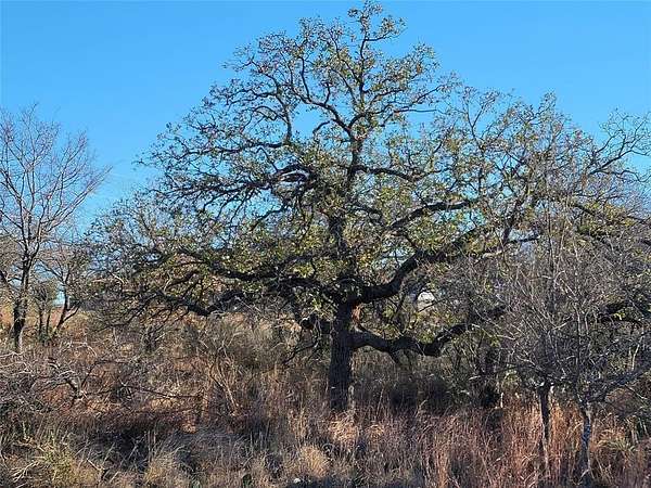 0.23 Acres of Residential Land for Sale in Granite Shoals, Texas