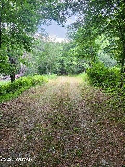 16.6 Acres of Recreational Land for Sale in Dushore, Pennsylvania