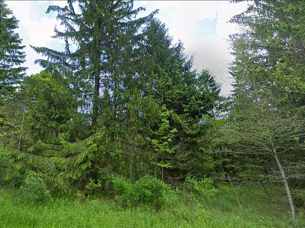 1.76 Acres of Residential Land for Sale in Mount Savage, Maryland