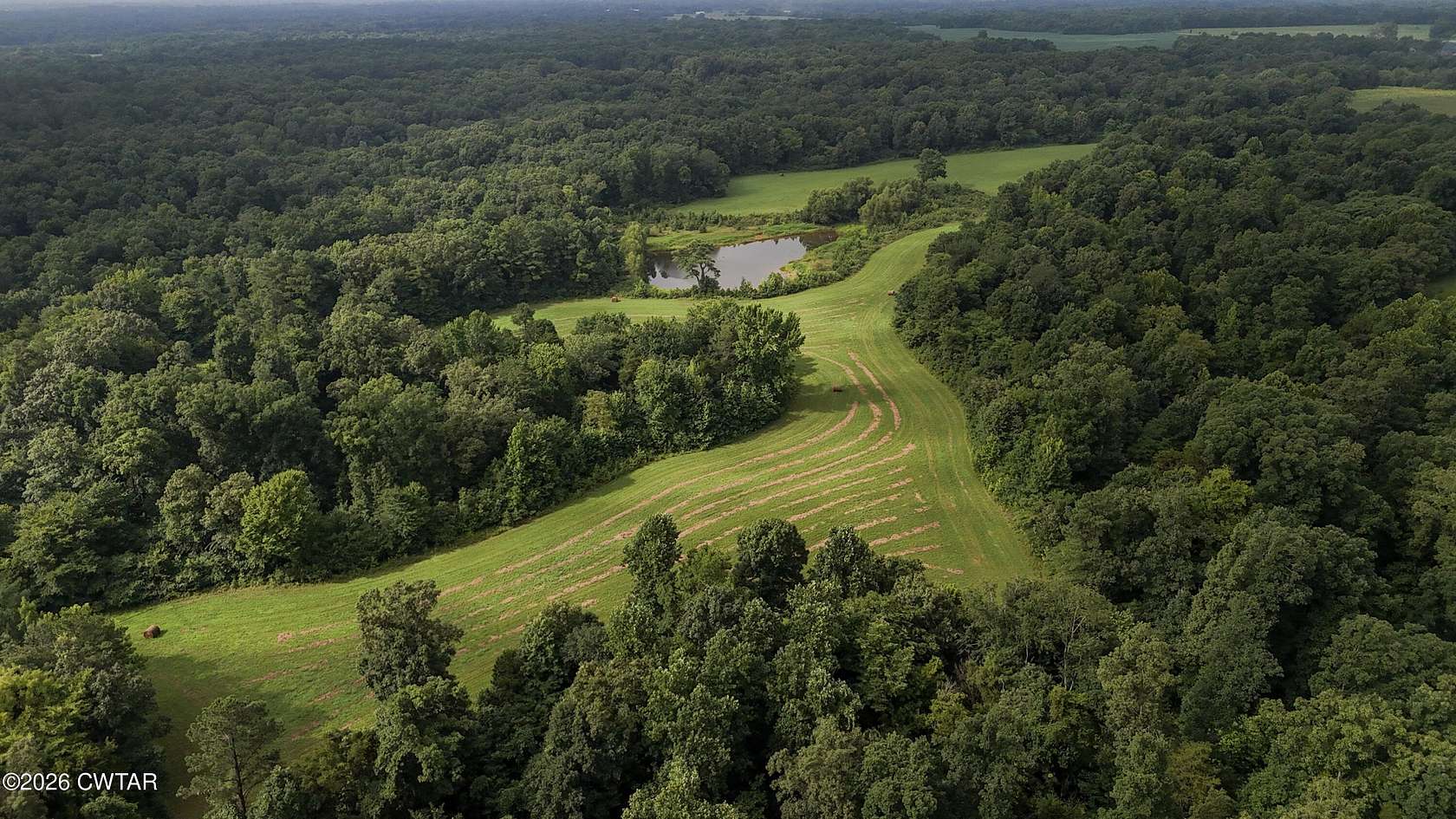 80 Acres of Land for Sale in Whiteville, Tennessee