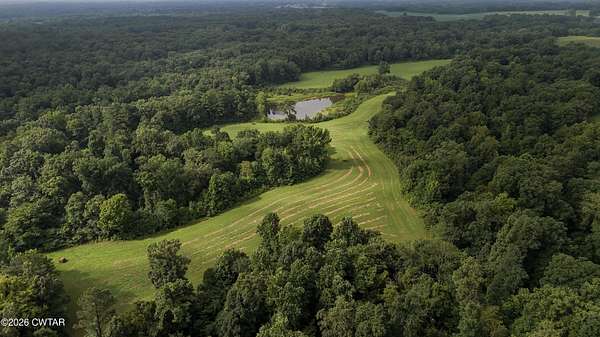 80 Acres of Land for Sale in Whiteville, Tennessee