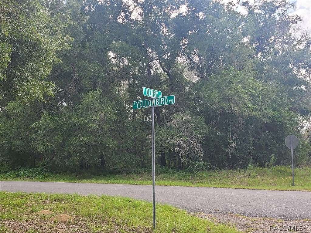 0.36 Acres of Residential Land for Sale in Dunnellon, Florida