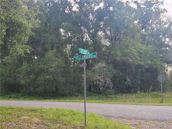 0.36 Acres of Residential Land for Sale in Dunnellon, Florida