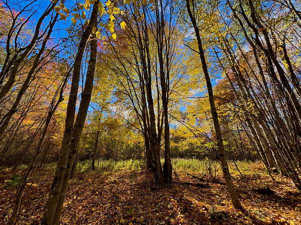 368 Acres of Recreational & Residential Land for Sale in Burnham, Maine