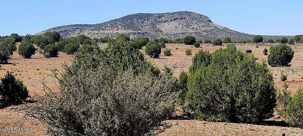 40.1 Acres of Recreational Land for Sale in Williams, Arizona