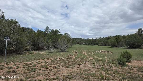 41.4 Acres of Recreational Land for Sale in Seligman, Arizona