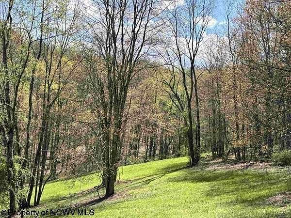 18.4 Acres of Land for Sale in Philippi, West Virginia