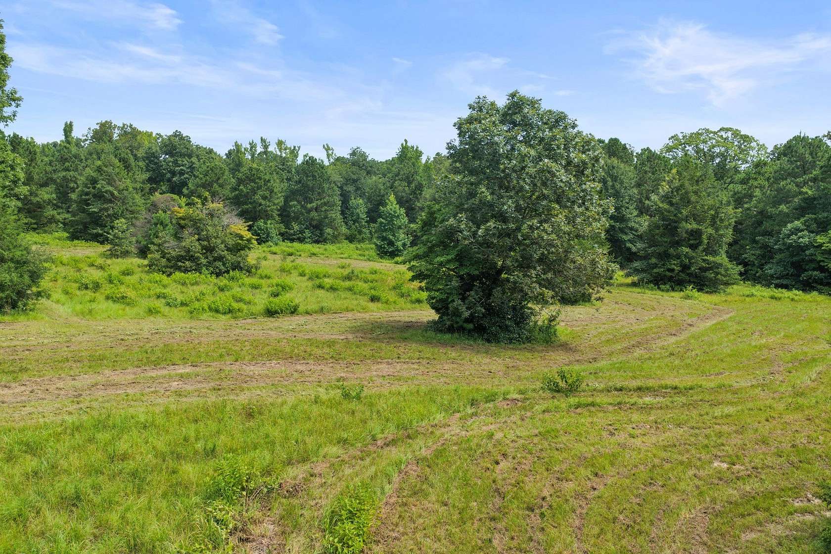38.8 Acres of Recreational & Residential Land for Sale in Linden, Texas