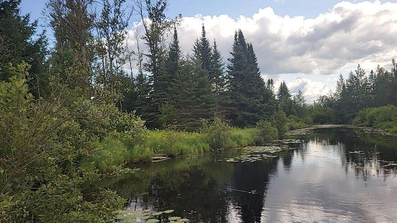 12.6 Acres of Recreational Land for Sale in Grayling, Michigan