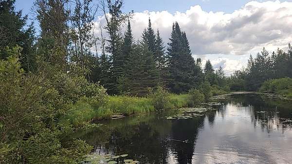 12.6 Acres of Recreational Land for Sale in Grayling, Michigan