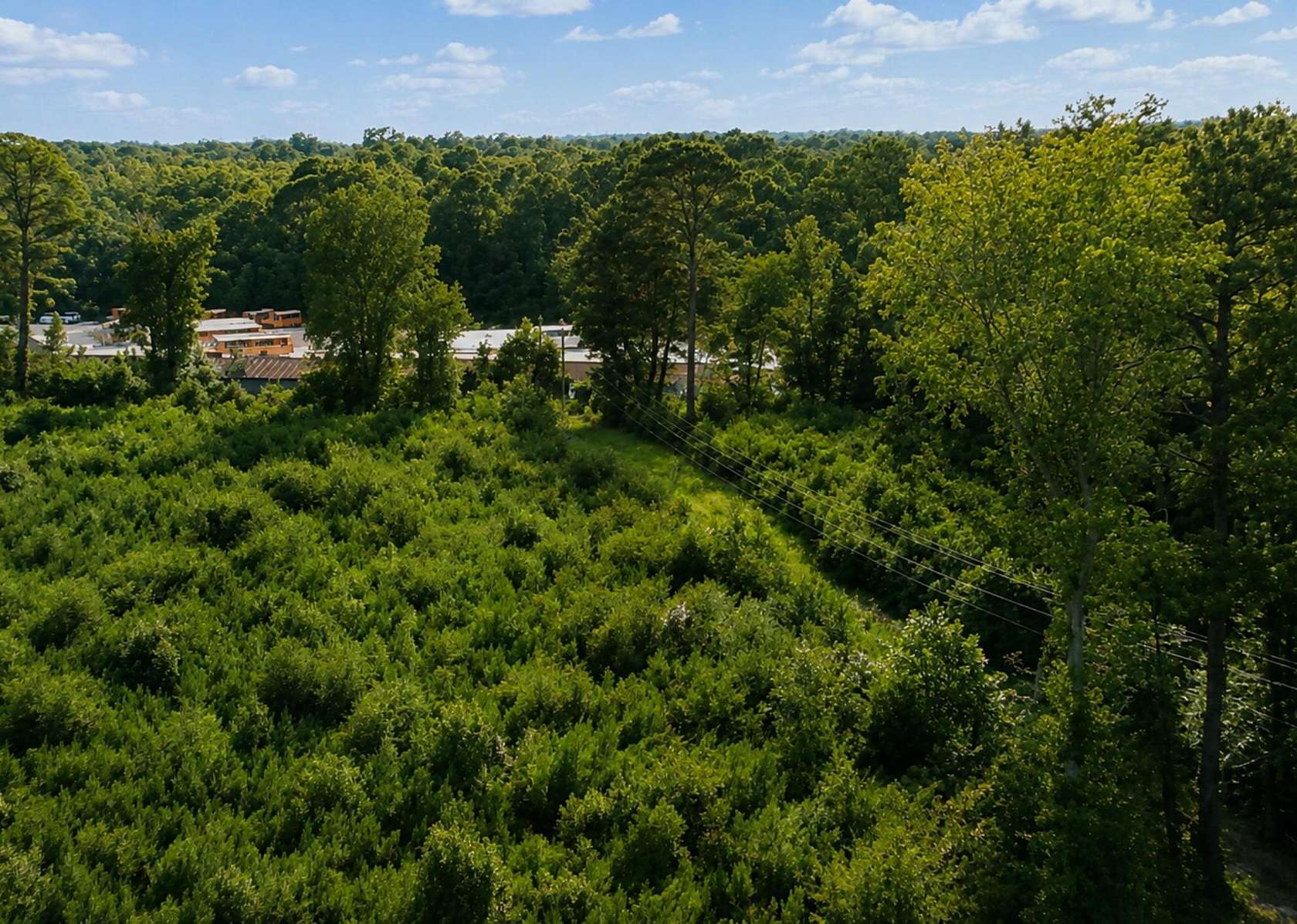 7 Acres of Residential Land for Sale in Moncks Corner, South Carolina