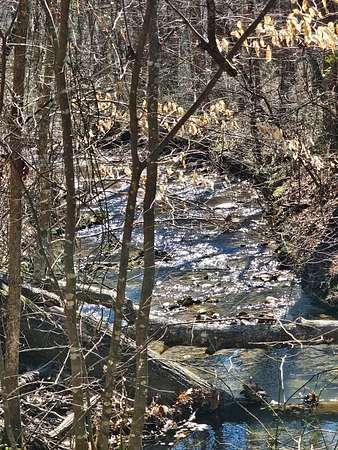 1.6 Acres of Residential Land for Sale in Ellijay, Georgia