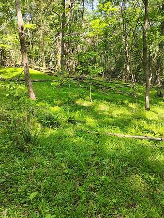 5 Acres of Residential Land for Sale in Paris, Tennessee