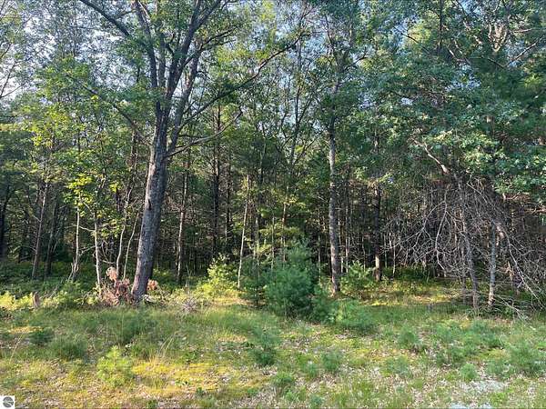 14.8 Acres of Land for Sale in Au Sable, Michigan
