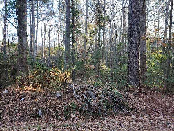 1.38 Acres of Residential Land for Sale in Chesapeake, Virginia