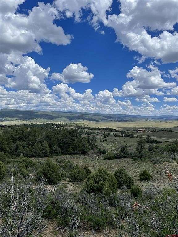 35.2 Acres of Land for Sale in Pagosa Springs, Colorado