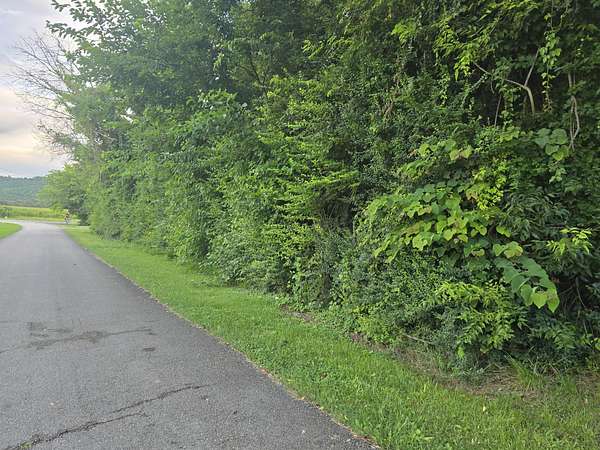 2.34 Acres of Residential Land for Sale in McMinnville, Tennessee