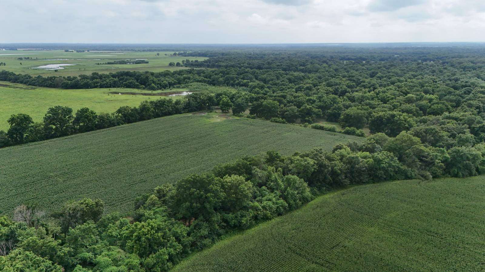 320 Acres of Land for Sale in Columbus, Kansas